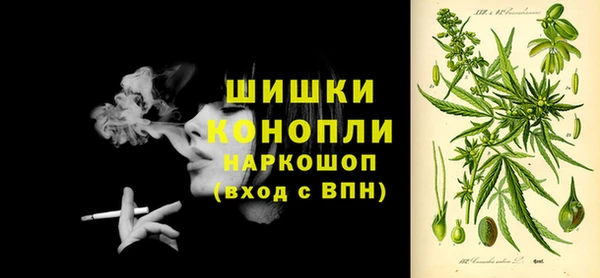 spice Снежинск
