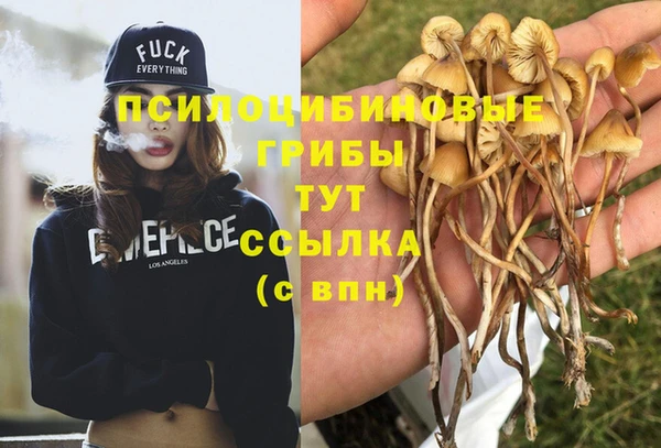 прущий лед Слюдянка