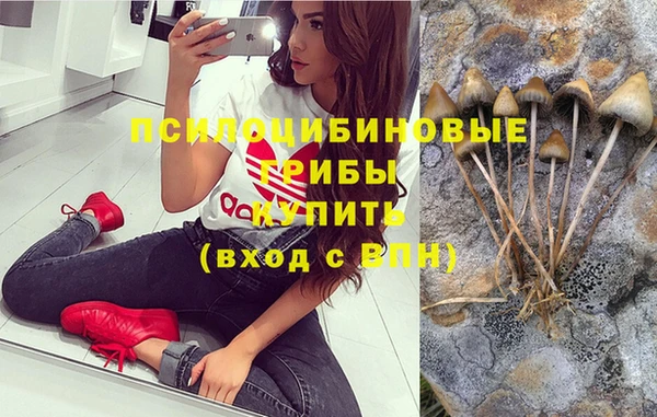 spice Снежинск