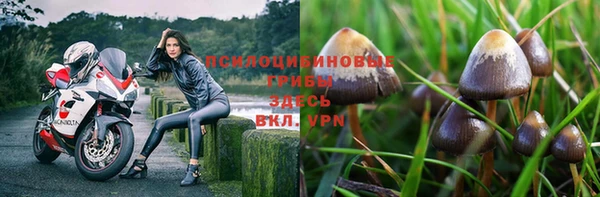 spice Снежинск