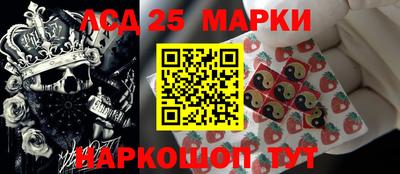 прущие грибы Комсомольск-на-Амуре