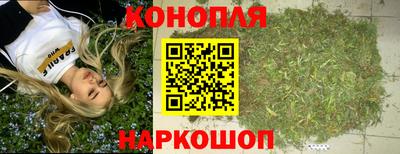 прущие грибы Комсомольск-на-Амуре