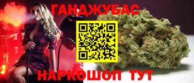 прущие грибы Комсомольск-на-Амуре