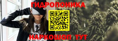 прущие грибы Комсомольск-на-Амуре