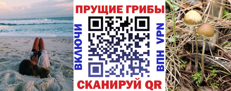 hydra как зайти  маркетплейс Telegram  Псилоцибиновые грибы мицелий  Углич 